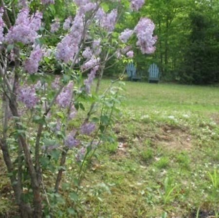 Tumble Inn Schroon Lake Buitenkant foto