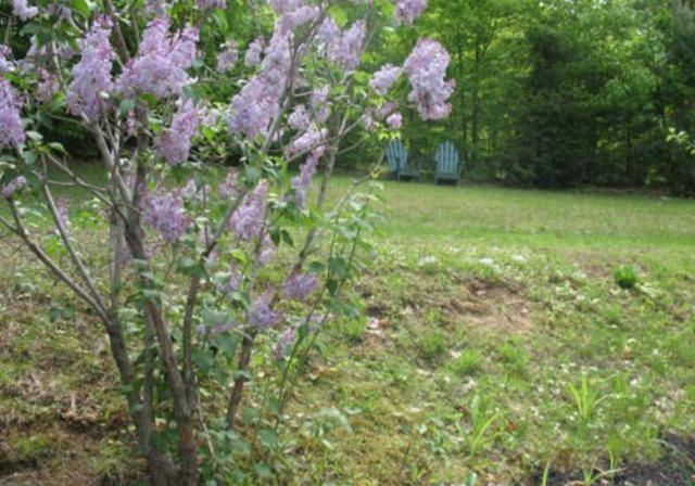 Tumble Inn Schroon Lake Buitenkant foto